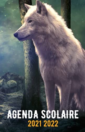 Agenda Scolaire 2021 2022: Joli Planificateur Journalier 1 Jour Par Page | Organiseur Scolaire 11 Mois (Septembre 2021 / Juillet 2022) Pour Étudiants Collège, Lycée | A5 |