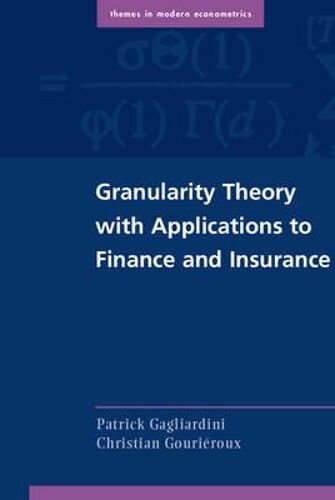 Granularity Theory With Applications To Finance And Insurance