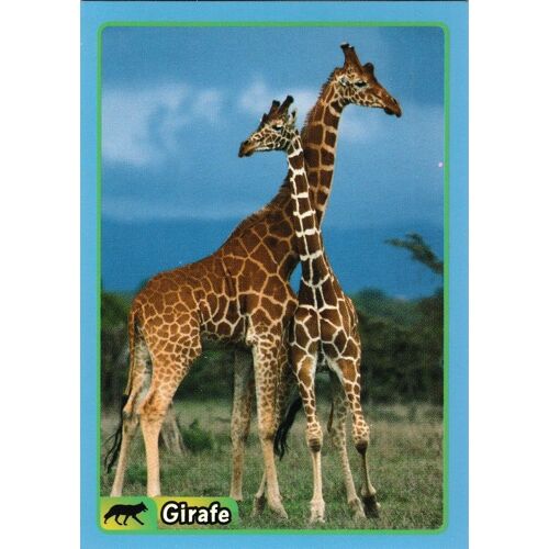 N° 55 - Stickers Image Panini Animaux A La Decouverte Du Monde Animal 2014