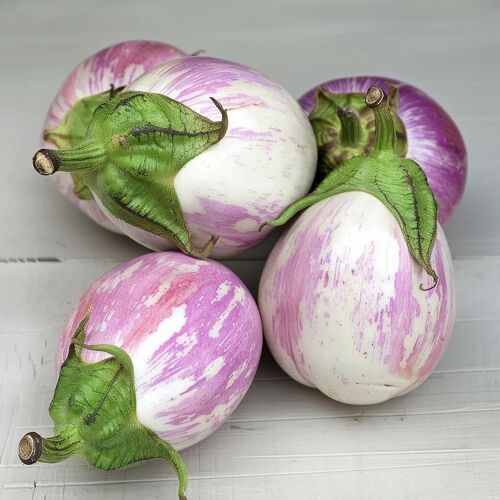 60 Graines D'aubergine Rontonda Di Bianca - Semisauvage Permaculture