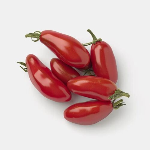 50 Graines De Tomate San Marzano - Semisauvage Permaculture