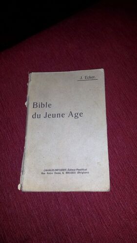 Bible Du Jeune Age