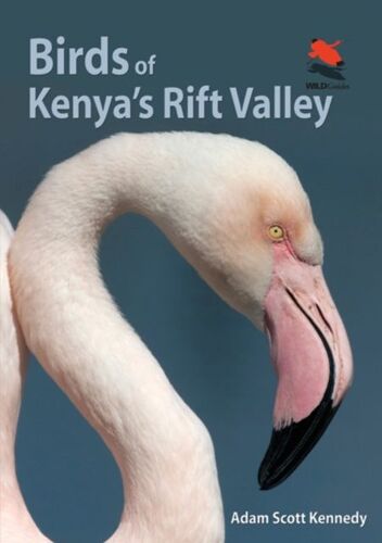 Birds Of Kenya's Rift Valley