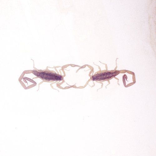 Wabi Sabi