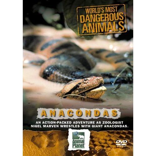World's Most Dangerous Animals - Anaconda