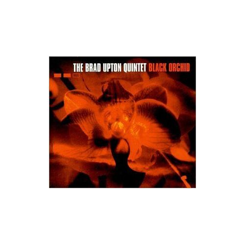 Black Orchid