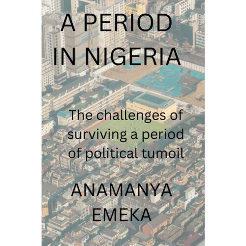 A Period In Nigeria: The Challenges Of Surviving A Decade Of Political And Economic Turmoil In Africa's Most Populous Country