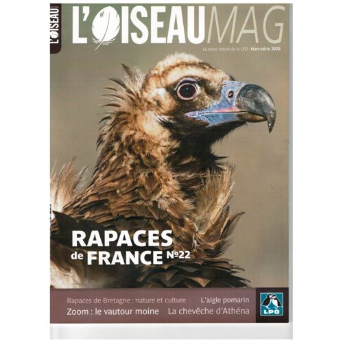 L'oiseau Mag, Rapaces De France 22