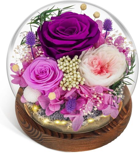 Rose Éternelle, Cadeaux de Noël pour Elle Verre avec Boule de Cristal Lumineuse Rose Violette Préservée Infinie Fleur Eternel pour Femme Maman Petite Amie Epouse Violette