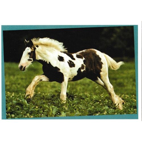 N° 159 - Stickers Image Panini Chevaux Une Aventure Incroyable