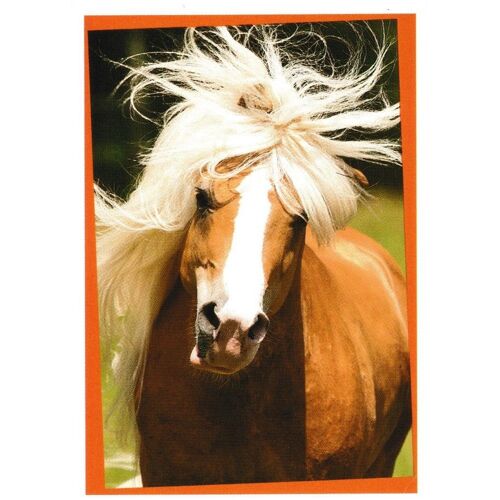 N° 151 - Stickers Image Panini Chevaux Une Aventure Incroyable