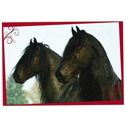 N° 100 - Stickers Image Panini Chevaux Une Aventure Incroyable