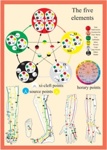 Five Elements In Acupuncture - A4