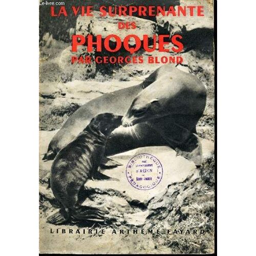 La Vie Surprenante Des Phoques