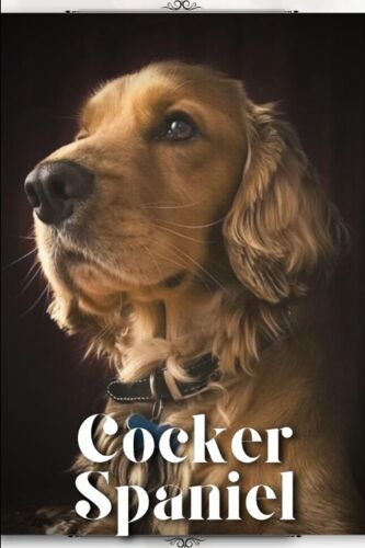 Cocker Spaniel: Dog Breed Overview And Guide