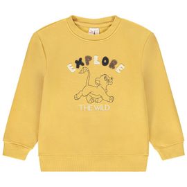 Sweat À Broderie Bouclette Et Print Simba Le Roi Lion Disney Pour Garçon - Jaune