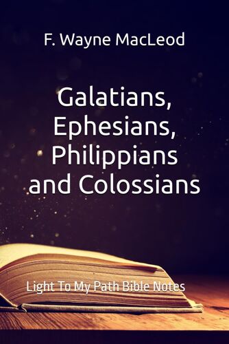 Galatians, Ephesians, Philippians And Colossians: Light To My Path Bible Notes Series: 1