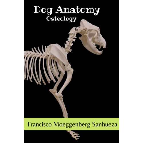 Dog Anatomy: Osteology