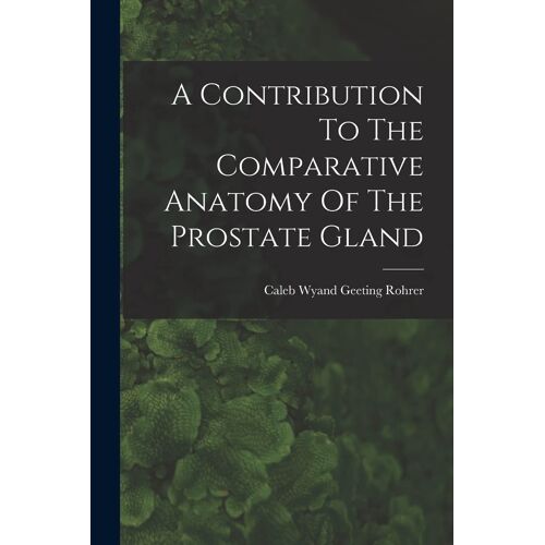 A Contribution To The Comparative Anatomy Of The Prostate Gland