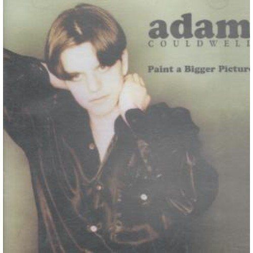 Paint A Bigger Picture