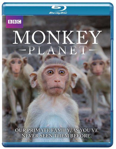 Monkey Planet