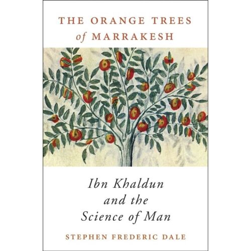 The Orange Trees Of Marrakesh