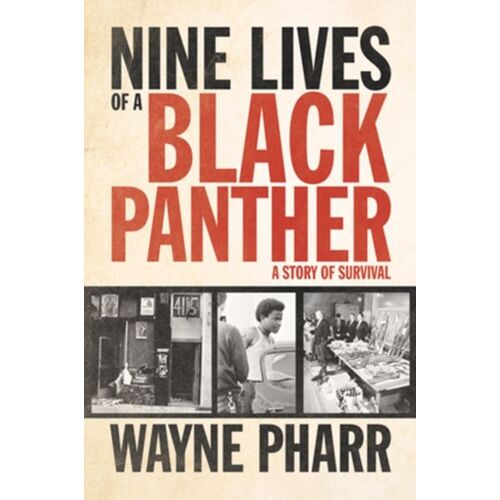Nine Lives Of A Black Panther