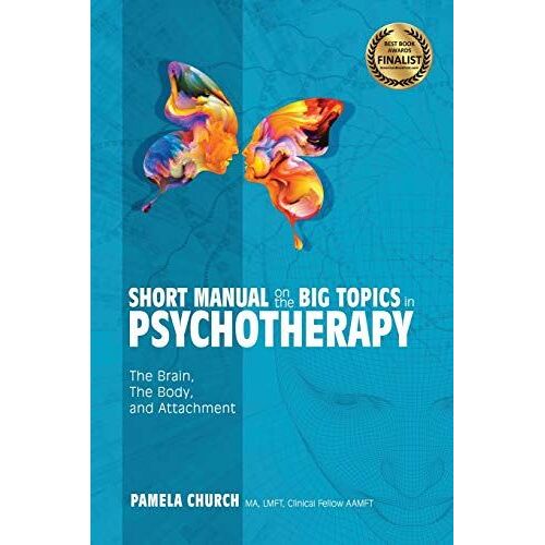 Short Manual On The Big Topics In Psychotherapy