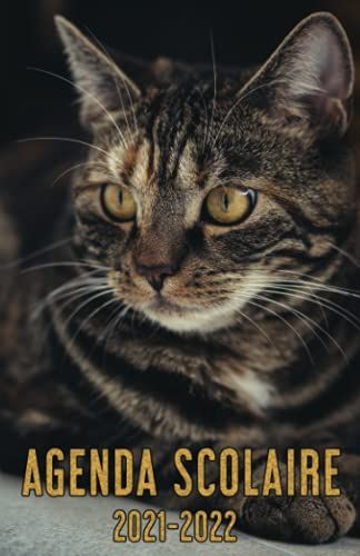 Agenda Scolaire 2021 2022: Agenda Chat Journalier Avec Vacances Scolaires & Jours Fériés Et Emplois Du Temps Et Calendrier De Septembre 2021 À Août 2022 (Un Jour Par Page)