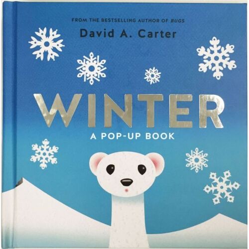 Winter - A Pop-Up Book