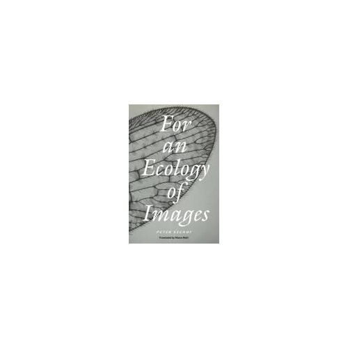 For An Ecology Of Images