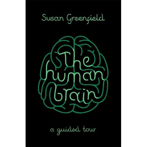 The Human Brain