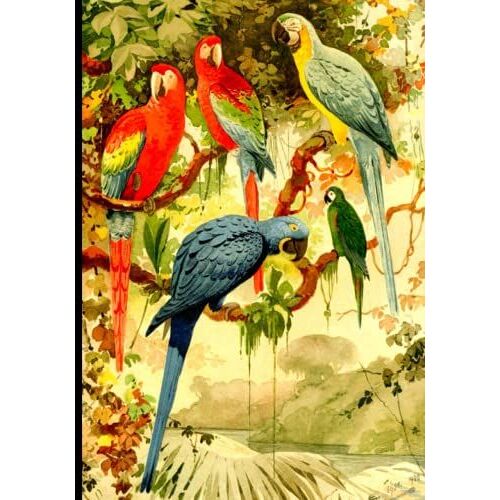 Birds Art Notebook Cover Design: Lined Notebook Paper College Ruled 7 X 10 Inch, Original Art Cover Design, Perfect Gift For Art Lovers.