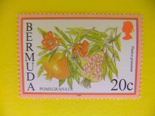 50 Bermudes 1998 / Flore De Fruits De Mangrana / Yvert 754 Fu