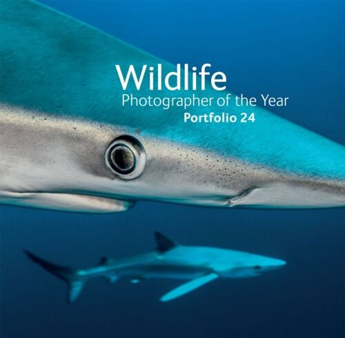 Wildlife Photographer Of The Year: Portfolio 24