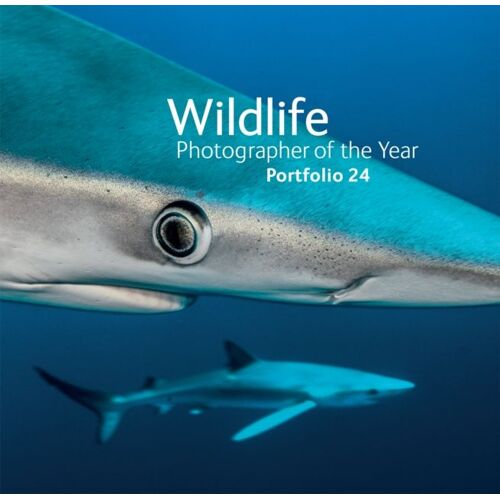 Wildlife Photographer Of The Year: Portfolio 24