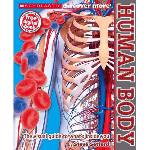 Human Body