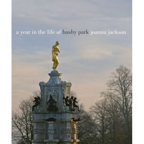 A Year In The Life Of Bushy Park