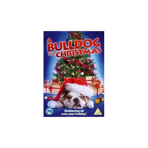 A   Bulldog For Christmas