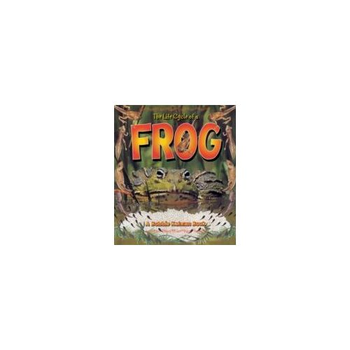 The Life Cycle Of A Frog