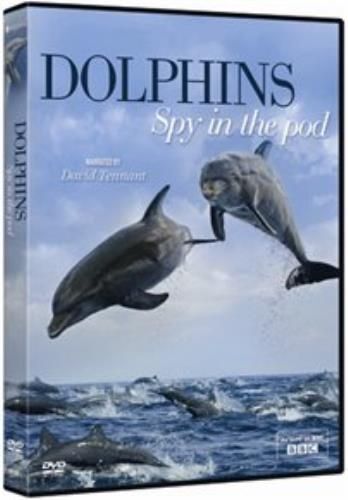 Dolphins: Spy In The Pod