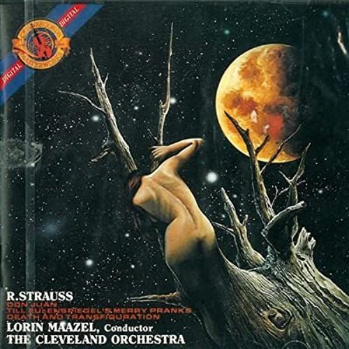 Strauss:Don Giovanni