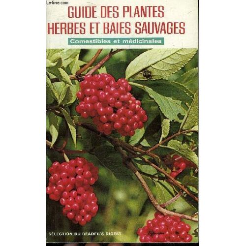 Guide Des Plantes Herbes Et Baies Sauvages .