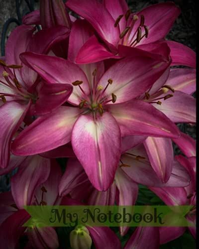 My Notebook: Sunshine Series Paperback Notebooks