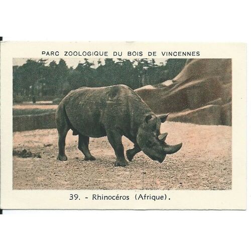 Image À Collectionner ( Bon Point / Bons Points " La Cordonnerie Universelle " ) : Parc Zoologique Du Bois De Vincennes : 39. - Rhinocéros ( Afrique ) 