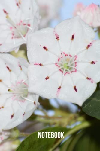 Mountain Laurel Notebook: Blank Lined Composition Journal | Mountain Laurel Notebook | 100 Pages