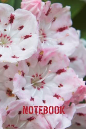 Mountain Laurel Notebook: Blank Lined Composition Journal | Mountain Laurel Notebook | 100 Pages