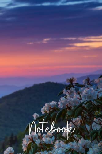 Mountain Laurel Notebook: Blank Lined Composition Journal | Mountain Laurel Notebook | 100 Pages