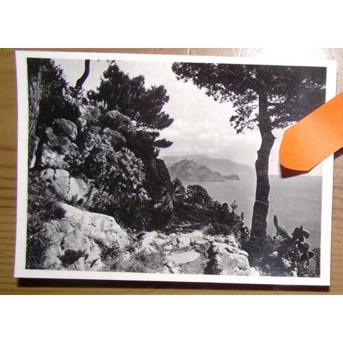 Photo Année 1950.Capri Panorama Vers Le Golfe D'amalfi.Dimensions 8,5x6cm.