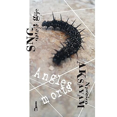 Angles Morts